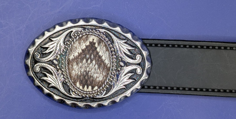Real Eastern Rattlesnakes Insert with Bezel & Silver Scroll Belt Buckle #2626