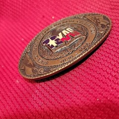 3.5&Prime; TEXAS SESQUICENTENNIAL BELT BUCKLE Numbered VINTAGE 1986 Brass metal Texoma