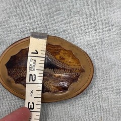 Vtg Nocona Western Leather Belt Buckle Exotic Skin Inlay Zigzag Stitch Brown