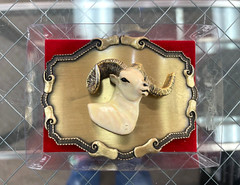 Lot Of 4 Vintage Buckles: Raintree 3D Big Horn Ram-Chambers Rodeo-2nd Amend-Semi