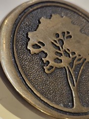 Solid Brass Tree Design Western Belt Buckle Bronze for Men BTS Vtg