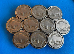 Vintage Buffalo Nickel Cluster Coin Belt Buckle