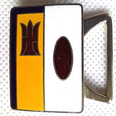 8th Japan Swimming Championship – Vintage Belt Buckle