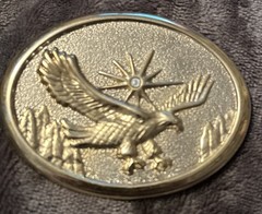 Vintage 80’s gold tone soaring eagle oval cowboy western belt buckle NICE