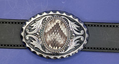 Real Eastern Rattlesnakes Insert with Bezel & Silver Scroll Belt Buckle #2626