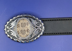 Prairie Rattlesnake Skin Insert with Bezel & Silver Scroll Belt Buckle
