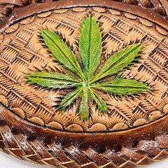 Cannabis Weed Marijuana Plant Leaf Belt Buckle Leather Whipstitch Texture Hippie