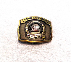 CLASSIC BELT BUCKLE 1991 FARMERS COOP EQUITY CO « SWAZEY » LMT ED #201 OF 700 BB17
