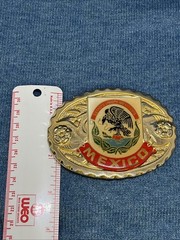 Vtg Mexico Belt Buckle Western Mexican Coat of Arms Eagle Snake Enamel Gold Tone