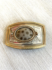Petosky stone belt buckle for men silver plated with a layer of genuine 24-karat
