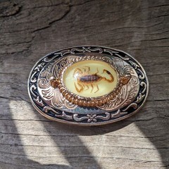 Lumious Scorpion Mens Belt Buckle Inlay Flower- Western Cowboy Buckle
