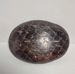 Justin 35 X Brown Leather Snake Skin Covered Belt Buckle Rustic Cowboy