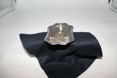 Horse in a Horseshoe Belt Buckle