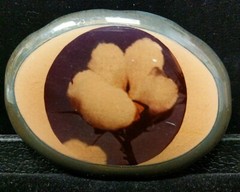 Artisan Signed Lucite Cotton Image Belt Buckle Farm Textiles Country Squire MO