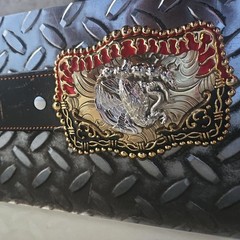 Western Buckle Gold Silver Red Black Red Eagle biting cobra