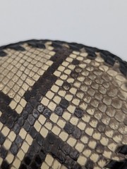 Genuine Python Snakeskin Belt Buckle The Skin Shop Leather Braided Western