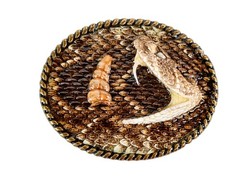 Real Rattlesnake Belt Buckle: Half Head and Rattle (598-BB405)