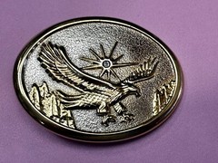 Eagle With Starburst USA Patriotic Belt Buckle Golden Western Bird Wings Cowboy