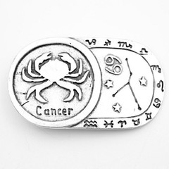 Capricorn Zodiac Belt Buckle Antique Silver Rectangle Classic