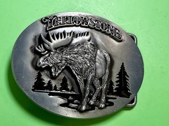YELLOWSTONE National Park Moose Elk Wildlife Scene Silver Color Belt Buckle