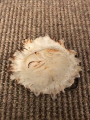 Vintage Elk Horn Belt Buckle Native Art