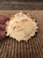 Vintage Elk Horn Belt Buckle Native Art