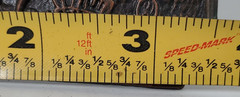 Tall In The Saddle Western Belt Buckle READ 2 1/2 x 3 1/2 Metal