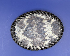 Real Eastern Diamondback Rattlesnake Hand laced Belt Buckle made in USA