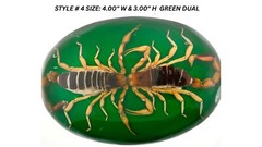 Vintage Real Scorpion Belt Buckle Preserved Inlay Zodiac Sign Men Women Lucky