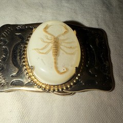 Vintage 1980s Gold Tone Western Belt Buckle Scorpion Cameo Cowboy Unisex
