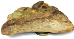 Belt Buckle Large Brown Natural Stone Polished Marble One of a Kind Handmade