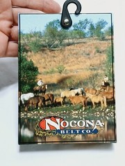 Nocona Womens Rhinestone Floral Belt Buckle in box=3.5&Prime; long = Silver tone