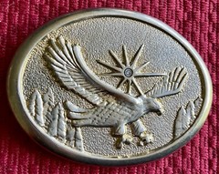 EAGLE SWOOPING HAWK STAR SUN RAYS SHINING MOUNTAINS BELT BUCKLE RAPTOR BIRD