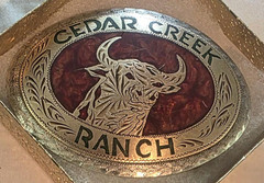 Vintage Metal Belt Buckle, Brass and Silver, Bull, Steer, Cedar Creek Ranch