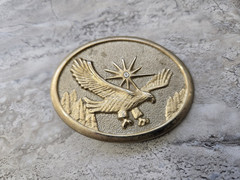 Flying Eagle Belt Buckle Gold Tone American Cowboy Western Southwest 3.25&Prime;x 2.5&Prime;