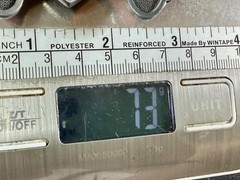 LOVE SUCKS Red Hearts Pink Crossbones Ladies Buckle Rage Belt Buckle