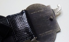 Louis Vuitton Pre-Owned Python Leather Crest Buckle