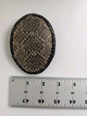 Vintage Snakeskin Belt Buckle Exotic Leather Braided Edge Western Oval