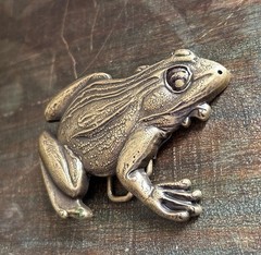Brass Frog Belt Buckle Large Bullfrog Lily Pad Western Cowboy Design
