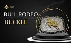 Bull Rider Silver Gold Belt Buckle Western Rodeo Fashion Cowboy Hebillas Vaquera