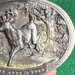 Vintage C&J Inc Colorado Buck Belt Buckle