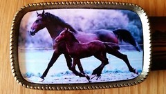 HORSE Running Leather Belt & HORSEn Epoxy Photo Buckle(28&Prime;-54&Prime; waist) New USA