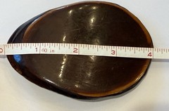 4” Wood Slice Vintage Belt Buckle Solid Brass Hardware Minimalist Nature Buckle