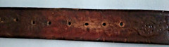 Raintree Grizzly Bear Buckle & Size 38 Leather Belt