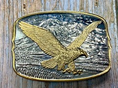 Flying Eagle Spreading Wings over the Mountain Scene Vintage Belt Buckle