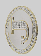 Initial J Letter Monogram Western Cowboy Men Women Gold Bling Metal Belt Buckle