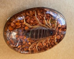 Scorpion Real Belt Buckle Men Westen Cowboy Hecho Made en Mexico Vintage Insect