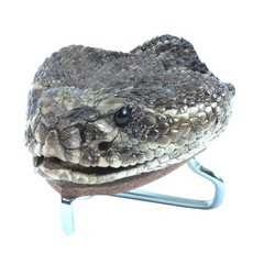 Genuine Taxidermy Rattlesnake Head Belt Buckle Real Snake Skin Cloth Accessory