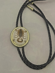 Gold tone Scorpion Belt Buckle and Bolo Set