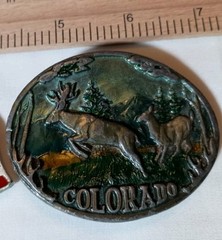 Belt Buckles – VTG – Montana Bicentennial, Colorado, US Flag